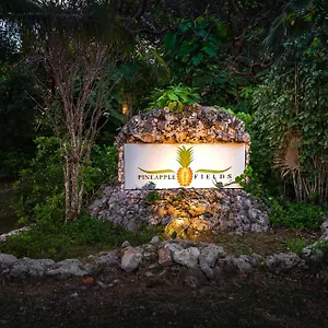 https://pineapple-fields.comcaribbean.com